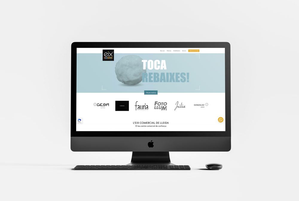 Disseny web Eix Comercial de Lleida